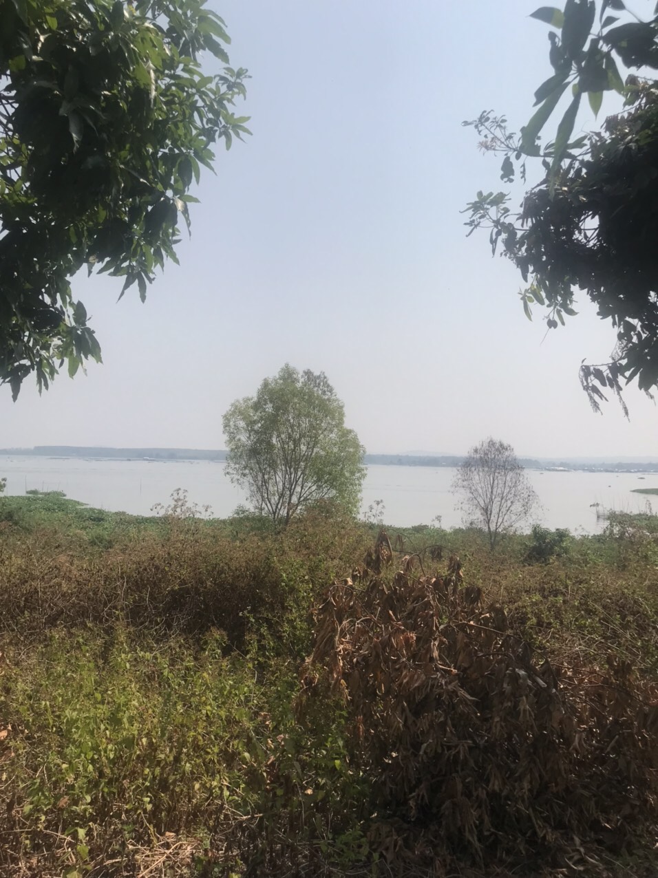 View sông La Ngà cực phẩm , 1046m2 mặt tiền xe hơi , 950tr